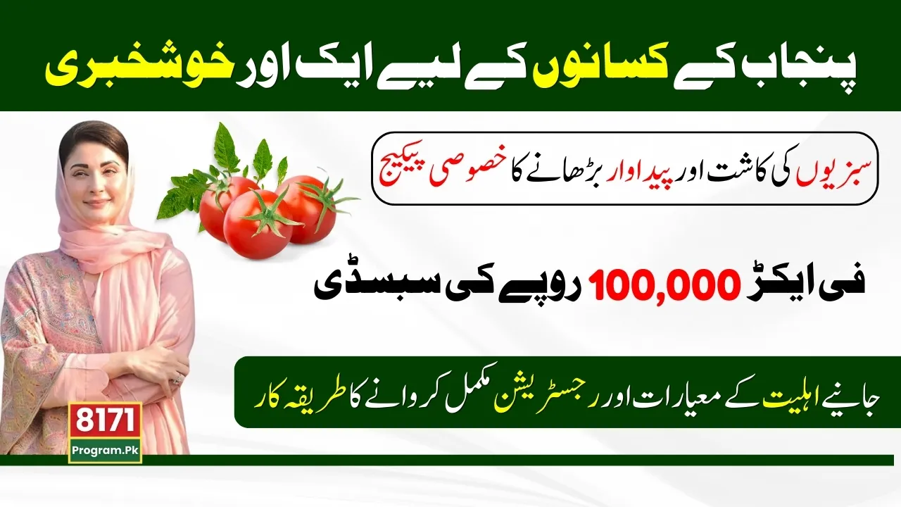 Punjab Government Announced A Special Package For Farmers